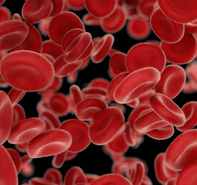 HEMATOLOJİ / TERAPÖTİK AFEREZ